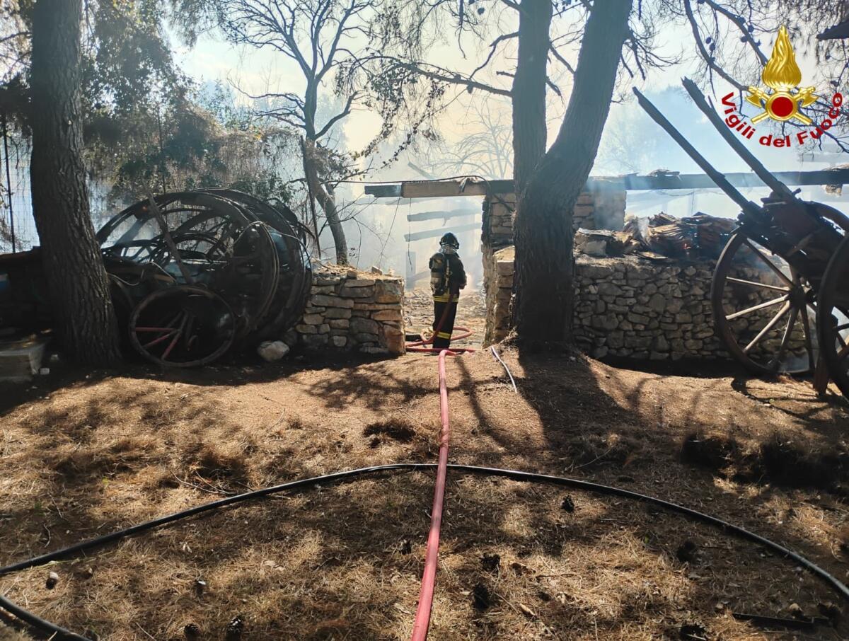 Paura al Ranch Natalino di Bitritto: fiamme nel centro ippico, i Vigili del Fuoco salvano i cavalli – FOTO