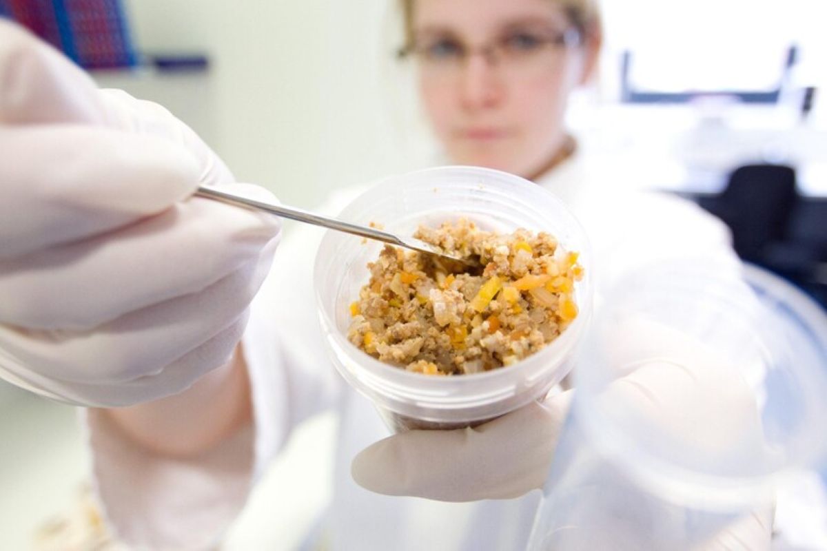 Sicurezza alimentare, le origini e i nodi della vigilanza sul cibo Sicurezza alimentare, le origini e i nodi della vigilanza sul cibo
