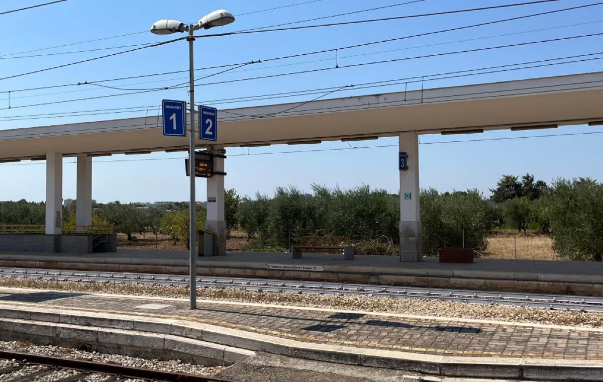 Caldo a Bari, fusibili in tilt per le alte temperature: stop ai treni Ferrotramviaria nel tratto Palese-Macchie Caldo a Bari, fusibili in tilt per le alte temperature: stop ai treni Ferrotramviaria nel tratto Palese-Macchie