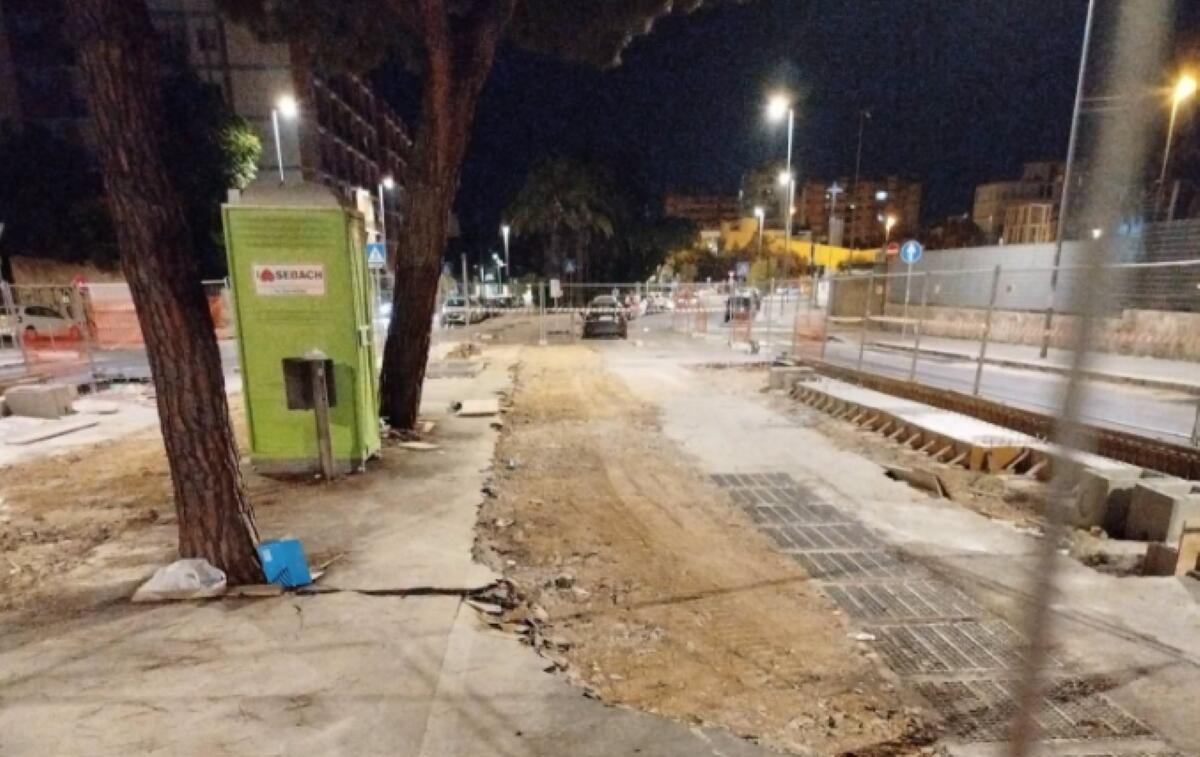 Alberi abbattuti per il BRT, il Comune di Bari risponde alle polemiche: «Rimosse solo 83 piante su 700» Alberi abbattuti per il BRT, il Comune di Bari risponde alle polemiche: «Rimosse solo 83 piante su 700»