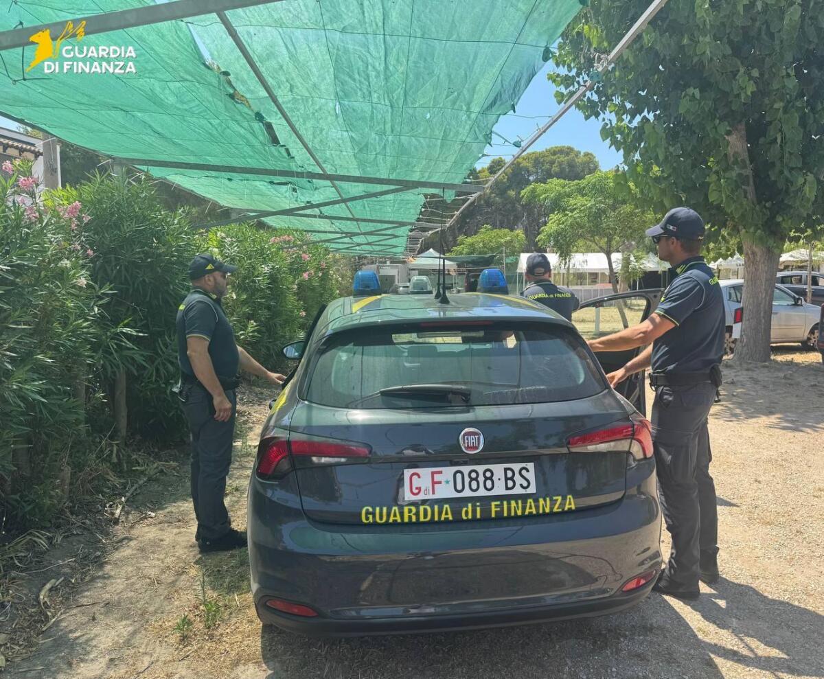 Gallipoli, scoperto campeggio abusivo: sequestrata area di 8mila metri quadrati a Padula Bianca – FOTO Gallipoli, scoperto campeggio abusivo: sequestrata area di 8mila metri quadrati a Padula Bianca – FOTO