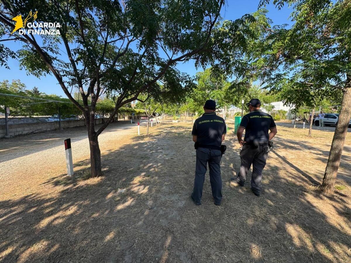 Gallipoli, scoperto campeggio abusivo: sequestrata area di 8mila metri quadrati a Padula Bianca – FOTO Gallipoli, scoperto campeggio abusivo: sequestrata area di 8mila metri quadrati a Padula Bianca – FOTO