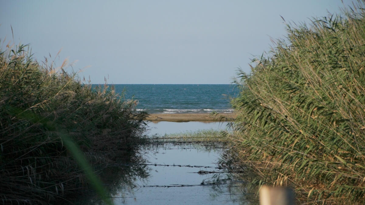 Barletta, escherichia coli in mare: scatta il divieto di balneazione nel tratto costiero di Ponente Barletta, escherichia coli in mare: scatta il divieto di balneazione nel tratto costiero di Ponente