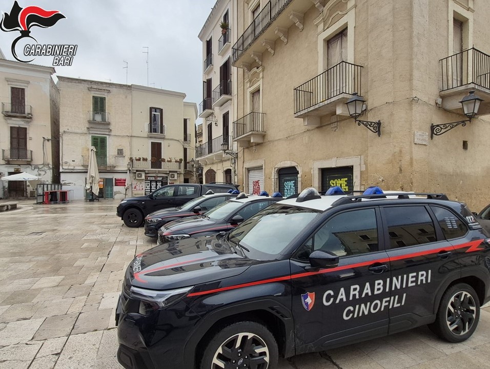 Caccia ad armi e droga a Bari Vecchia, blitz dei carabinieri all’alba: i vicoli al setaccio – VIDEO