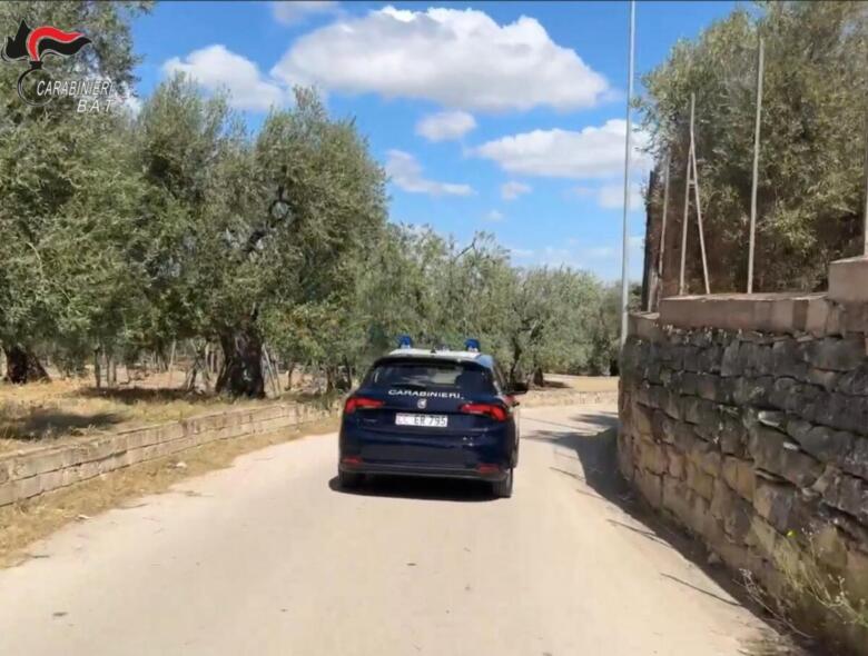 carabinieri bat