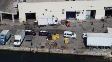 Taranto, blitz tra mercato ittico e aziende: sequestrati 660 kg di pesce, due arresti per droga e multe