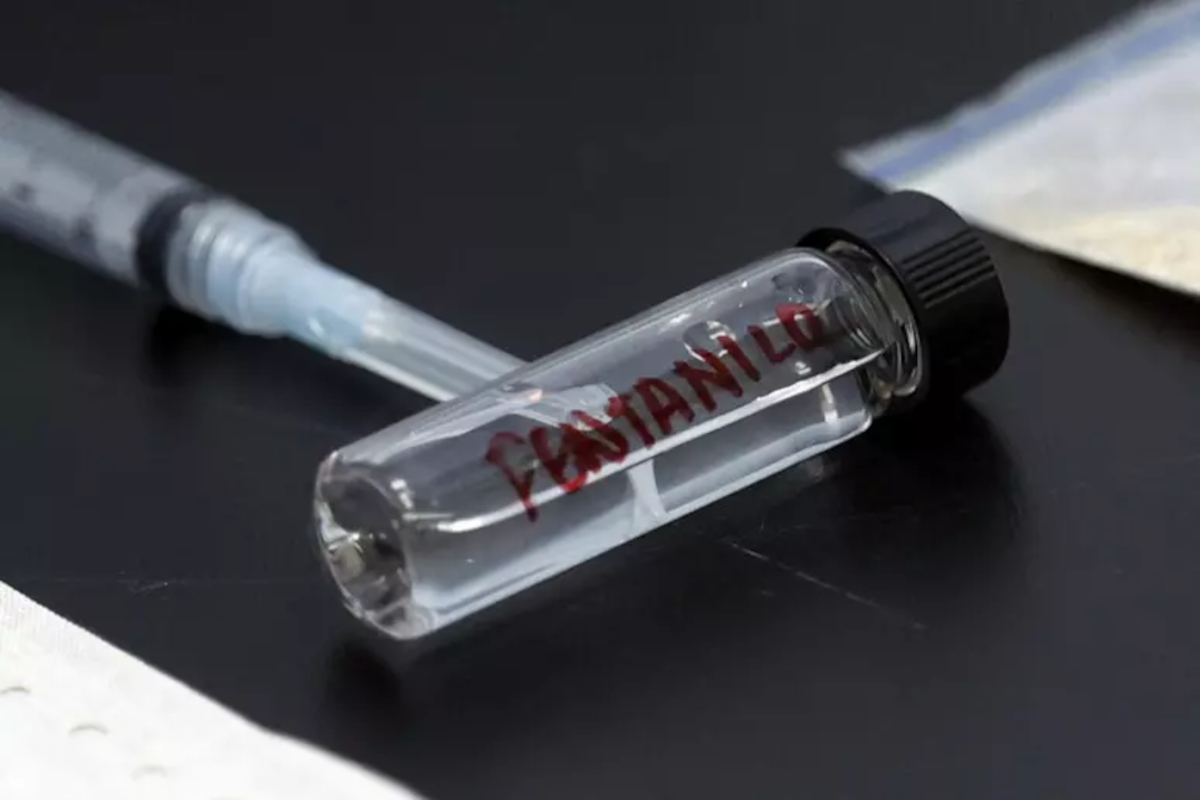 Roma, rubate 80 fiale di fentanyl all’ospedale Israelitico: si possono confezionare 20mila dosi Roma, rubate 80 fiale di fentanyl all’ospedale Israelitico: si possono confezionare 20mila dosi