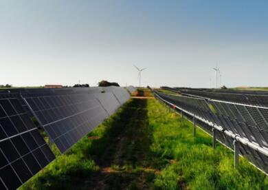 Legittimo lo stop al fotovoltaico a terra nelle zone agricole, Paolicelli: «Transizione non passa da consumo di suolo»