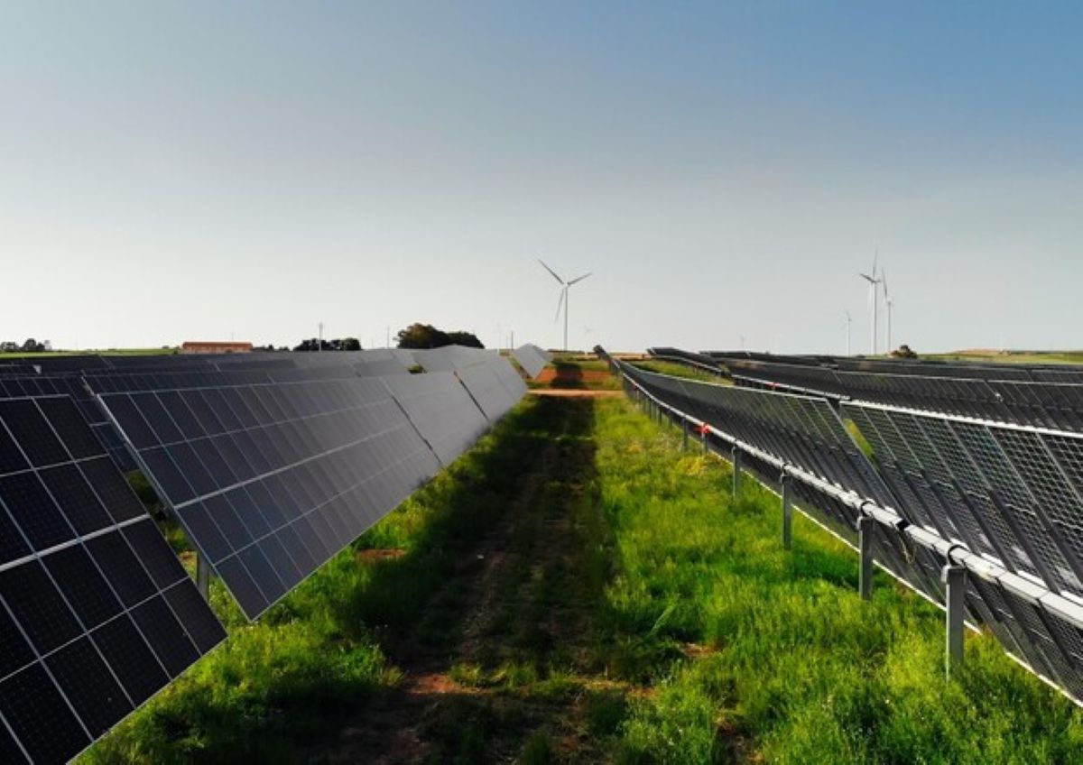 Legittimo lo stop al fotovoltaico a terra nelle zone agricole, Paolicelli: «Transizione non passa da consumo di suolo» Legittimo lo stop al fotovoltaico a terra nelle zone agricole, Paolicelli: «Transizione non passa da consumo di suolo»