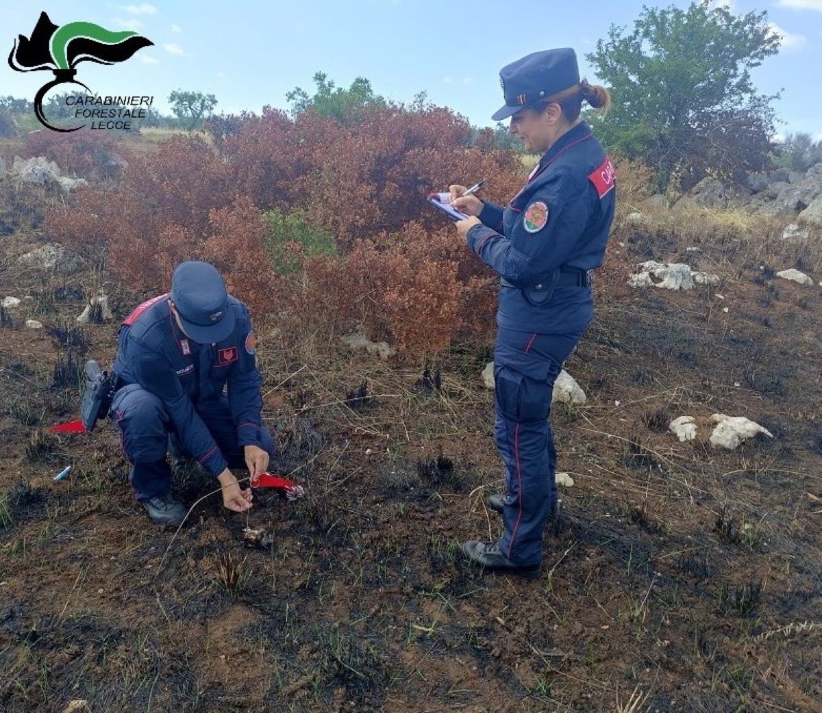 Incendi nel Salento, controlli a tappeto dei carabinieri: tre arresti e otto denunce – FOTO