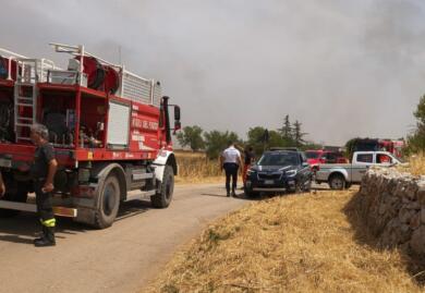 Incendio nell’Alta Murgia, Coldiretti: «Campi e pascoli inceneriti»