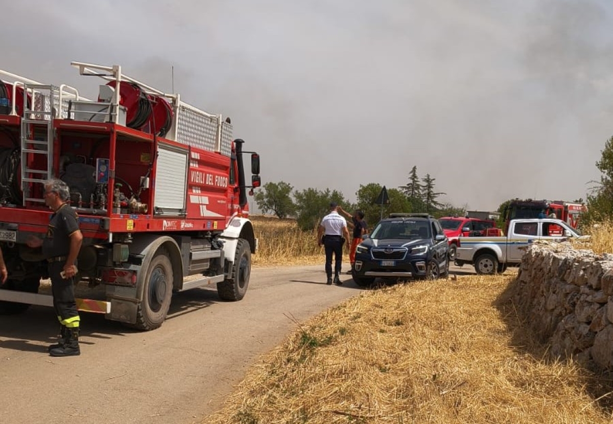 Incendio nell’Alta Murgia, Coldiretti: «Campi e pascoli inceneriti» Incendio nell’Alta Murgia, Coldiretti: «Campi e pascoli inceneriti»