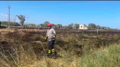 Fiamme nel Foggiano, una strada chiusa al traffico: sul Gargano si è riattivato un focolaio nell’area già bruciata