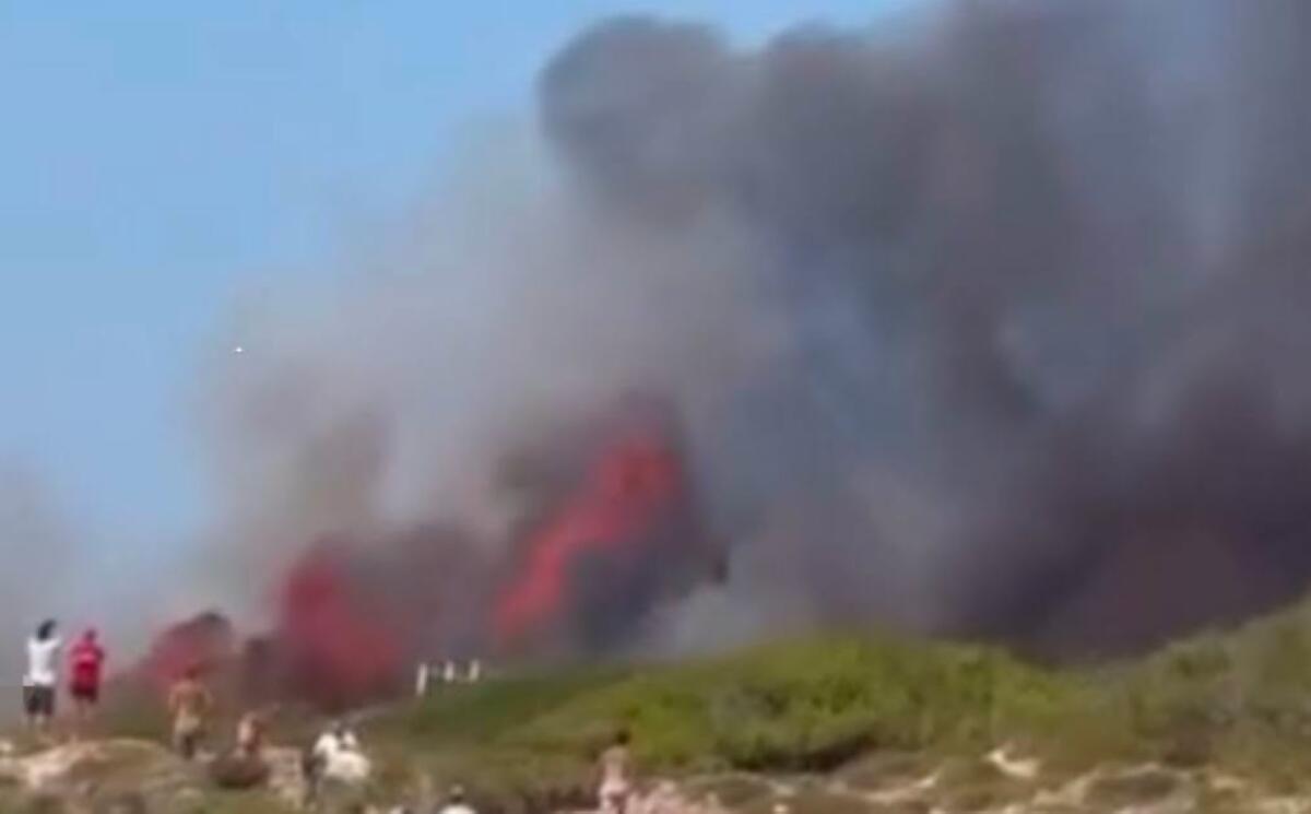 Gallipoli, fiamme nel parco naturale di Punta Pizzo: brucia la costa del Salento Gallipoli, fiamme nel parco naturale di Punta Pizzo: brucia la costa del Salento