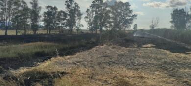 Incendio a ridosso dell’Oasi Langua del Re nel Foggiano, intervengono i vigili del fuoco