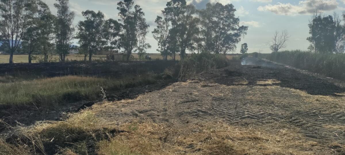 Incendio a ridosso dell’Oasi Langua del Re nel Foggiano, intervengono i vigili del fuoco Incendio a ridosso dell’Oasi Langua del Re nel Foggiano, intervengono i vigili del fuoco
