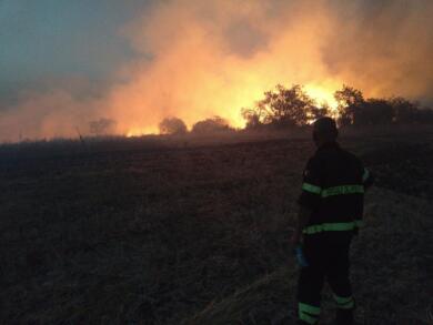Emergenza nell’Alta Murgia, fiamme senza tregua a Minervino Murge: «Centinaia di ettari devastati»