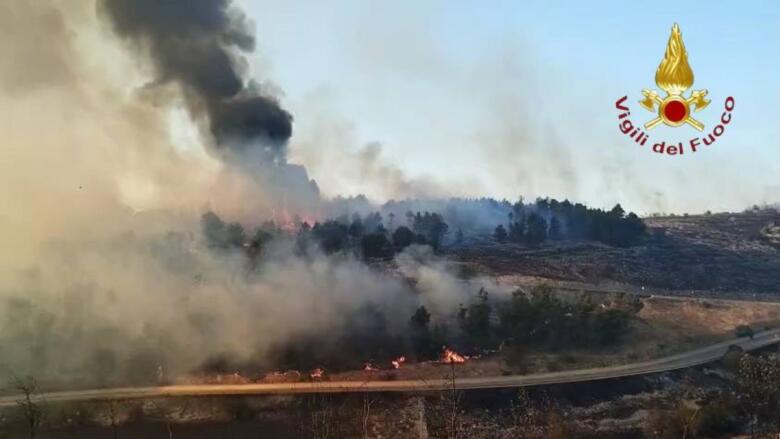 incendio minervino murge