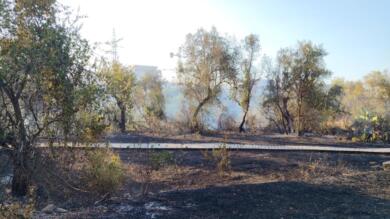 Molfetta, incendio a Parco Lama Martina: distrutta la passerella in legno