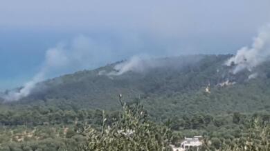 Incendio nella pineta Marzini a Vico del Gargano, distrutti circa 10 ettari: danni da quantificare