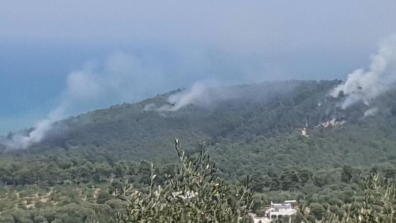 incendio pineta