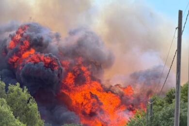 Emergenza incendi in Puglia, Coldiretti lancia l’allarme: 5mila ettari in cenere in due mesi