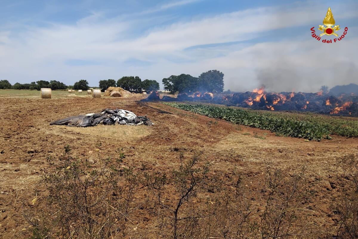 Vasto incendio nelle campagne di Acquaviva, rotoballe in fiamme: paura per un’azienda agricola – FOTO Vasto incendio nelle campagne di Acquaviva, rotoballe in fiamme: paura per un’azienda agricola – FOTO
