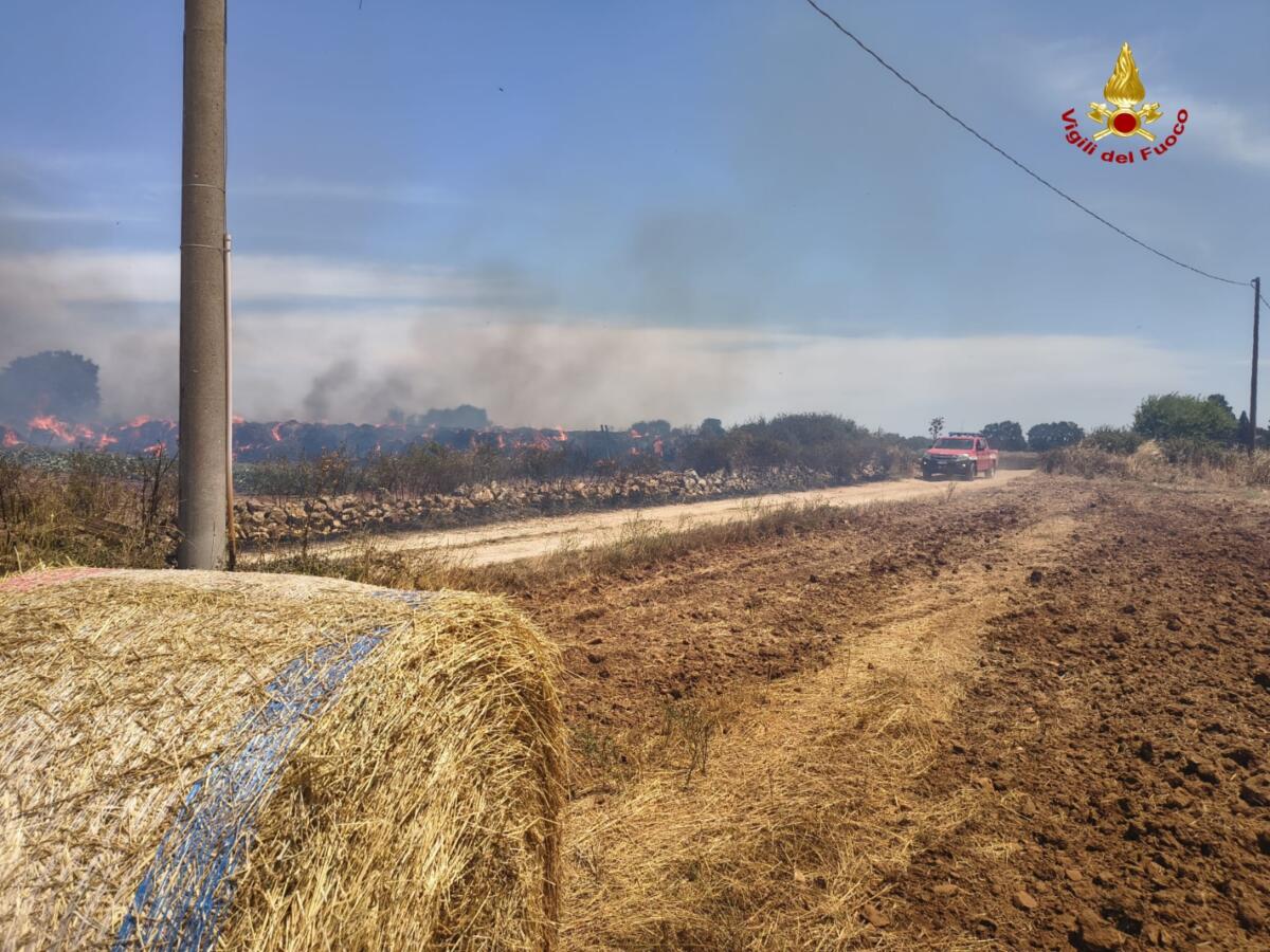 Vasto incendio nelle campagne di Acquaviva, rotoballe in fiamme: paura per un’azienda agricola – FOTO Vasto incendio nelle campagne di Acquaviva, rotoballe in fiamme: paura per un’azienda agricola – FOTO