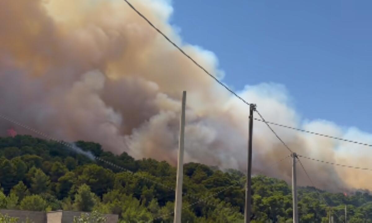 Collina della Madonna della Serra avvolta dalle fiamme: evacuate tre case tra Ruffano e Supersano Collina della Madonna della Serra avvolta dalle fiamme: evacuate tre case tra Ruffano e Supersano
