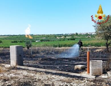 Ruvo, sterpaglie in fiamme sfiorano serbatoio di GPL: in azione i Vigili del Fuoco
