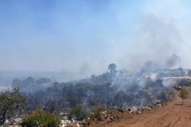 Brucia il Gargano, incendi da San Marco in Lamis a Vieste: evacuato un agriturismo