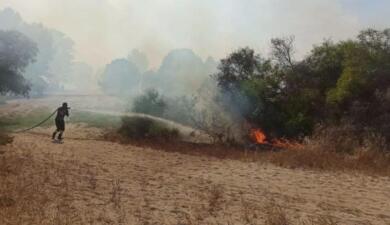 Manfredonia, incendio in campeggio con oltre 100 turisti: evacuata la zona