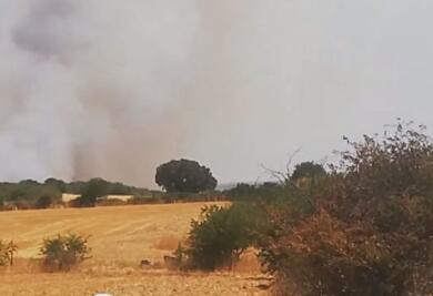 Altamura, vasto incendio in località La Mena: sospetto dolo e viabilità in tilt