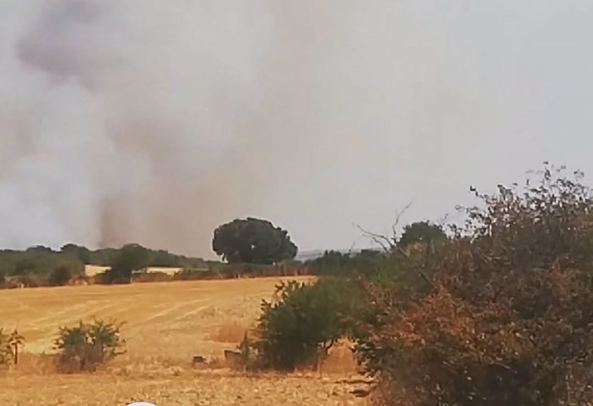 Altamura, vasto incendio in località La Mena: sospetto dolo e viabilità in tilt Altamura, vasto incendio in località La Mena: sospetto dolo e viabilità in tilt