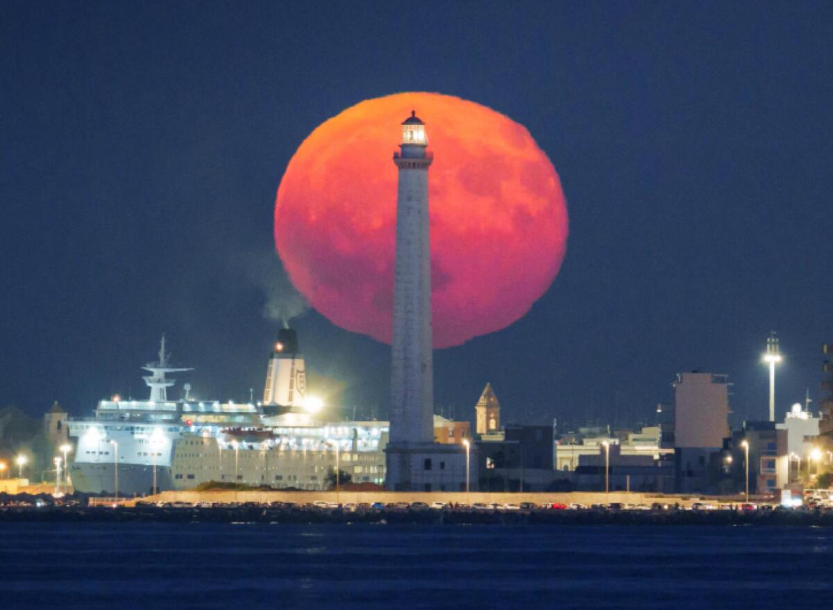 Lo spettacolo della “Luna del Cervo” illumina i cieli di Bari: gli scatti di Paky Cassano emozionano il web – FOTO Lo spettacolo della “Luna del Cervo” illumina i cieli di Bari: gli scatti di Paky Cassano emozionano il web – FOTO