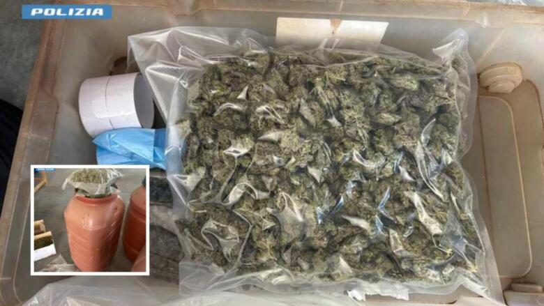 marijuana salento