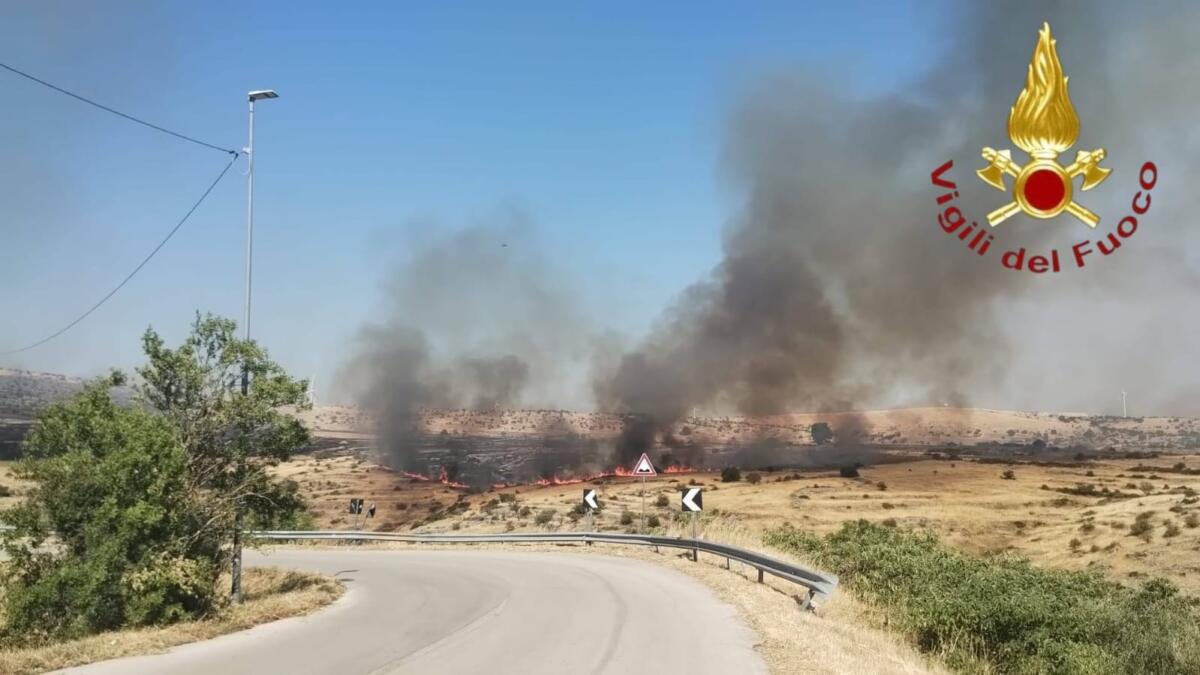 Fuoco a Minervino Murge: fiamme a ridosso del paese, il Comune ordina l’evacuazione immediata delle case – VIDEO