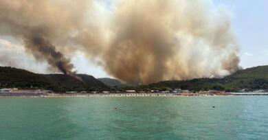 Incendi in Puglia, da gennaio “in fumo” 1400 ettari di verde