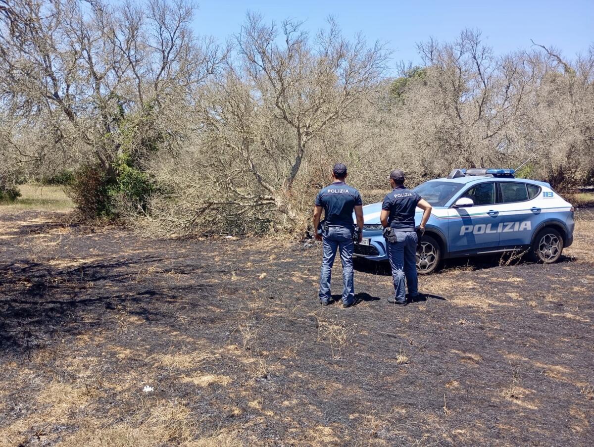Otranto, incendio in un uliveto danneggia 20 alberi: identificato e denunciato il responsabile Otranto, incendio in un uliveto danneggia 20 alberi: identificato e denunciato il responsabile