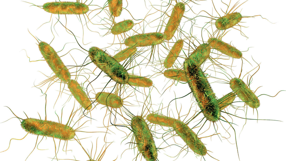 Oltre i limiti di laboratorio, ecco la nuova frontiera per la tutela sulle tavole Oltre i limiti di laboratorio, ecco la nuova frontiera per la tutela sulle tavole