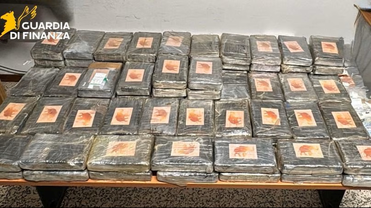 Maxi-sequestro di oltre 110 chili di cocaina: blitz della Finanza di Ancona nel Parmense Maxi-sequestro di oltre 110 chili di cocaina: blitz della Finanza di Ancona nel Parmense
