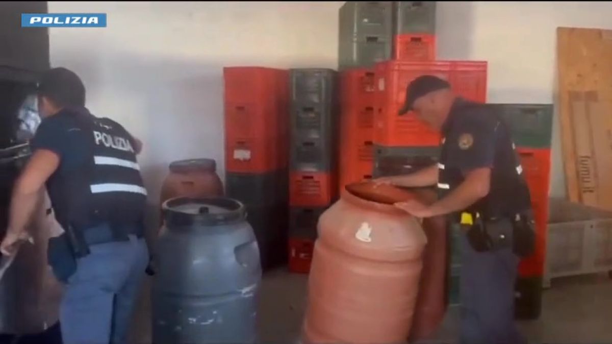Maxi sequestro di marijuana nel Salento, trovati 119 chili in un capannone: tre arresti – VIDEO