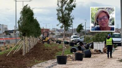 Bari cambia volto, Iacovone: «Con il nuovo Pug rifugi climatici, depavimentazione e verde» – L’INTERVISTA