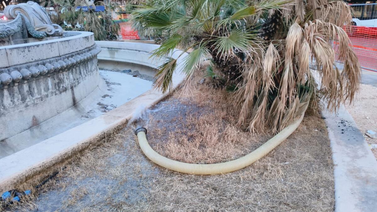 Bari, acqua per le piante nel cantiere di piazza Moro: dopo il richiamo del sindaco arrivano le autobotti