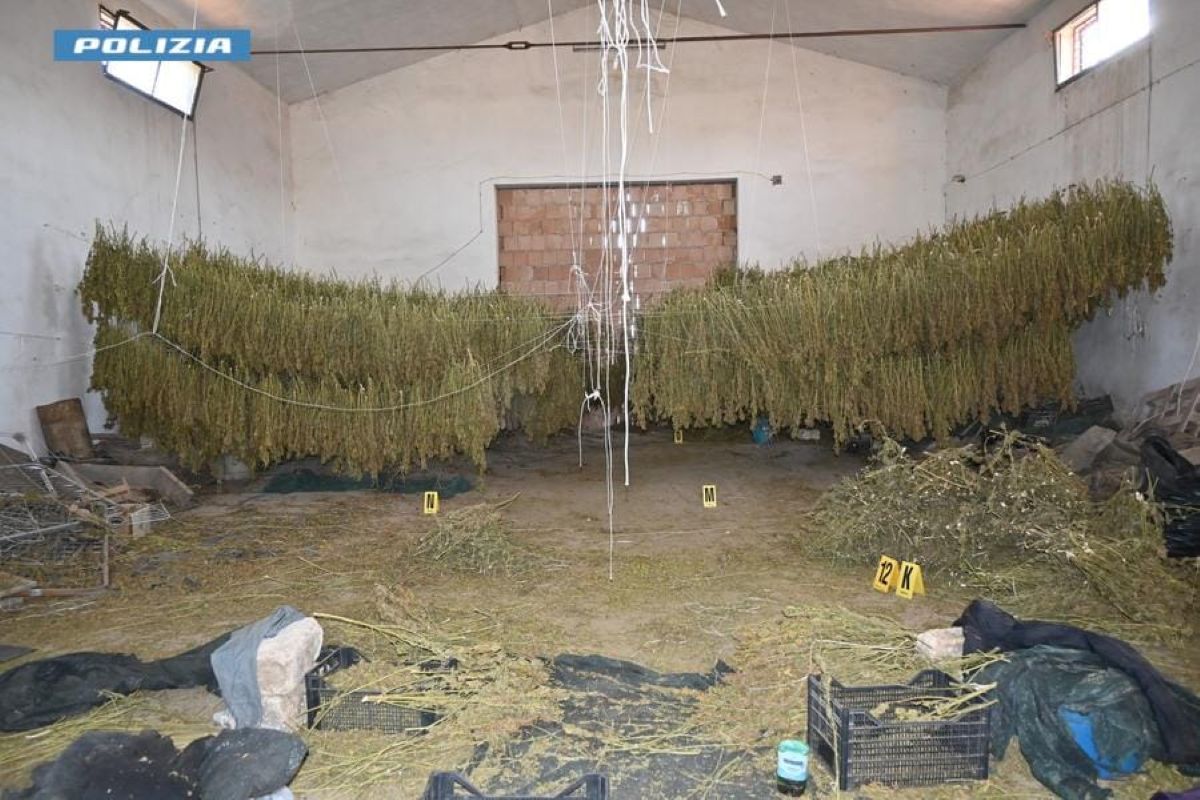 Maxi sequestro di droga a Foggia, trovati 860 chili di marijuana: il blitz dopo una telefonata al 112 – FOTO Maxi sequestro di droga a Foggia, trovati 860 chili di marijuana: il blitz dopo una telefonata al 112 – FOTO