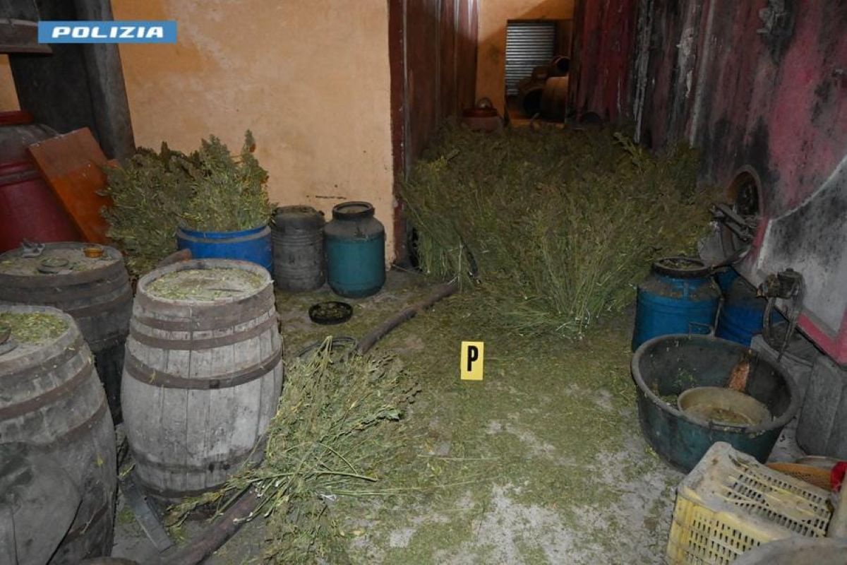 Maxi sequestro di droga a Foggia, trovati 860 chili di marijuana: il blitz dopo una telefonata al 112 – FOTO Maxi sequestro di droga a Foggia, trovati 860 chili di marijuana: il blitz dopo una telefonata al 112 – FOTO