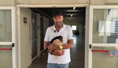 Emergenza abbandoni estivi a Bari: il sindaco Leccese in visita al canile rifugio – VIDEO