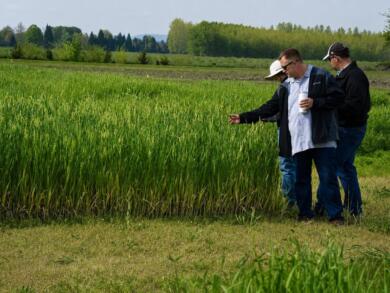 Dai laboratori alle politiche naturali, la ricerca barese ridisegna l’agricoltura