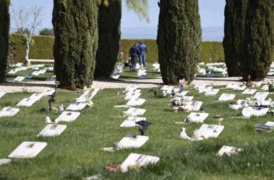 Bari avrà un cimitero per gli animali d’affezione: via libera al nuovo regolamento di polizia mortuaria