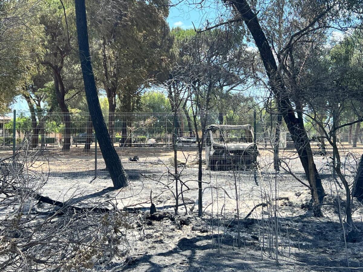 L’allarme di Sigea Puglia, dopo i roghi il rischio della desertificazione e dissesto geo-idrologico L’allarme di Sigea Puglia, dopo i roghi il rischio della desertificazione e dissesto geo-idrologico